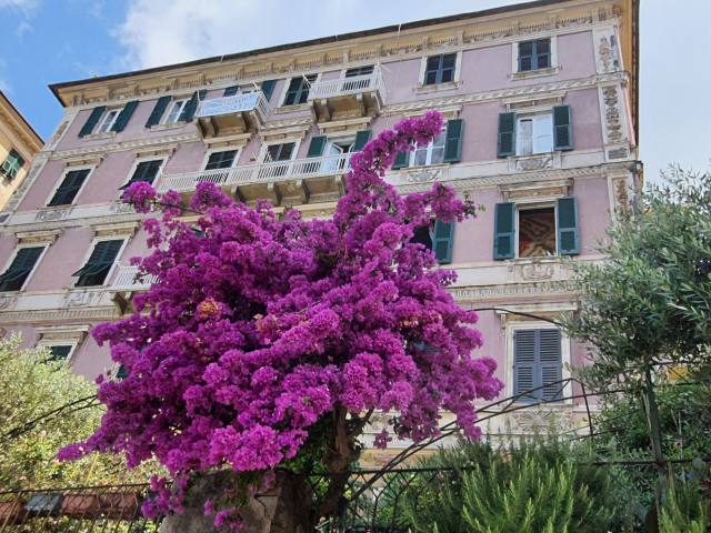 Palazzo degli Armatori historical apartment