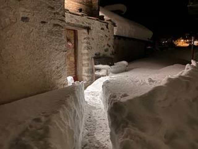 Casa Walser Larici e abeti secolari