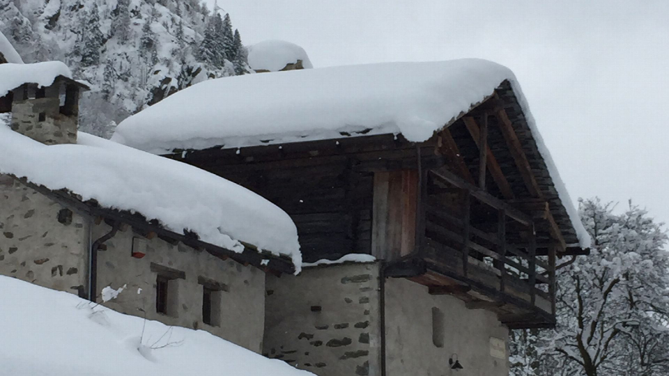 Casa Walser Larici e abeti secolari