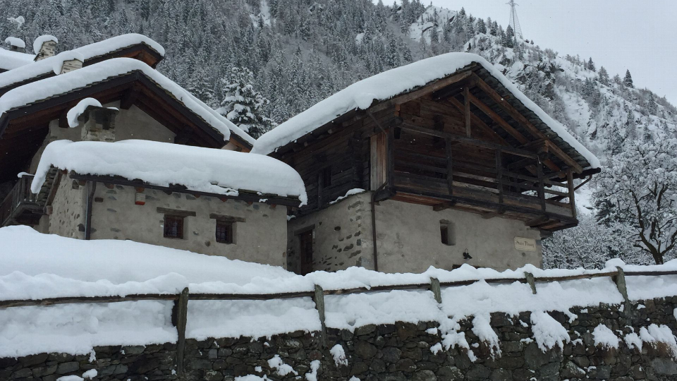 Casa Walser Larici e abeti secolari