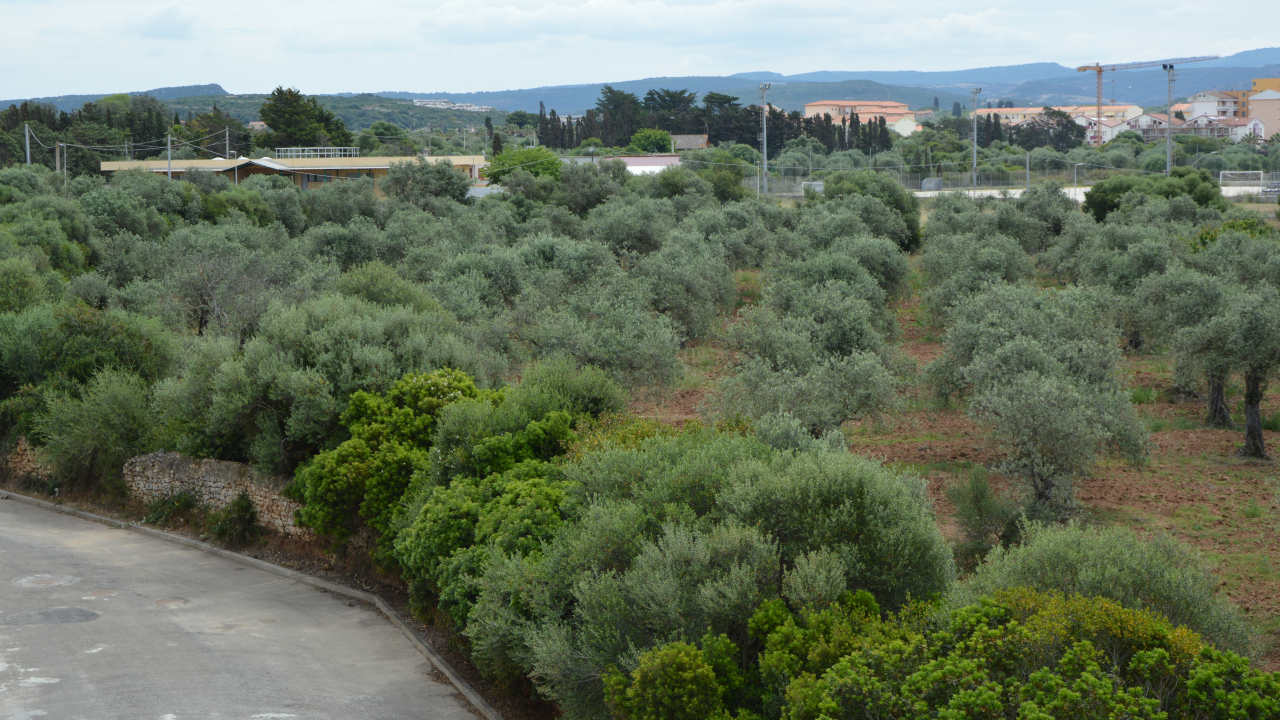 Appartamento con Vista Montagna