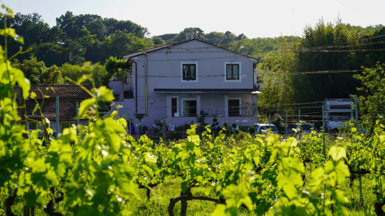 Appartamento con Vista Giardino