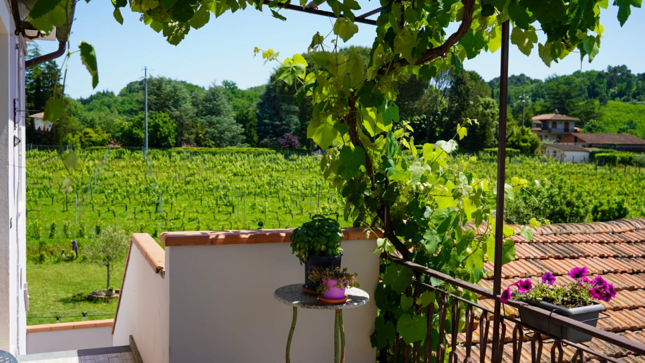 Appartamento con Vista Giardino