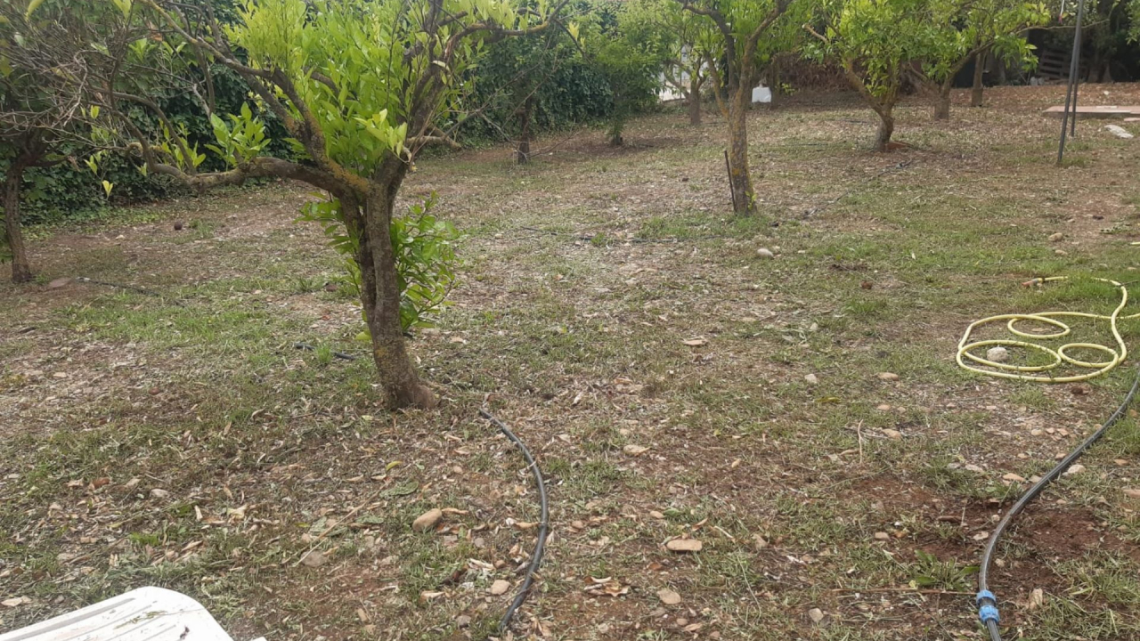 Appartamento con Vista Giardino